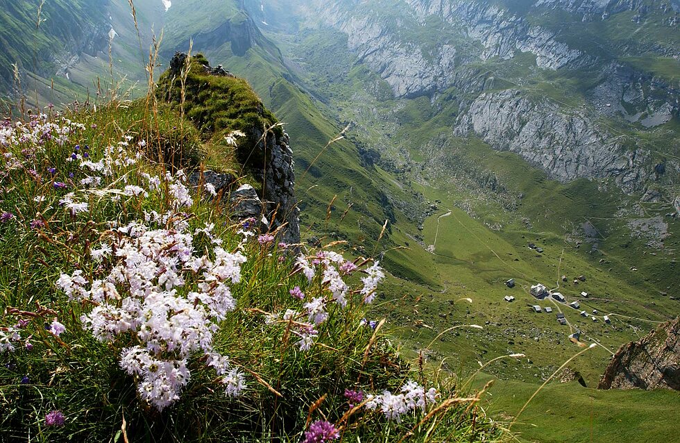 Meglisalp - «Natur pur»